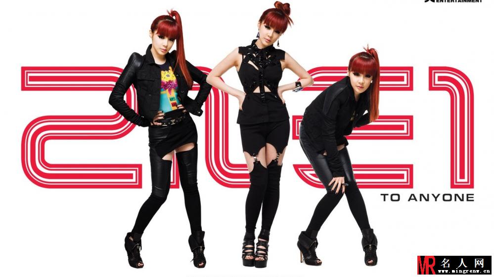 韩女团2NE1高清电脑壁纸(1)