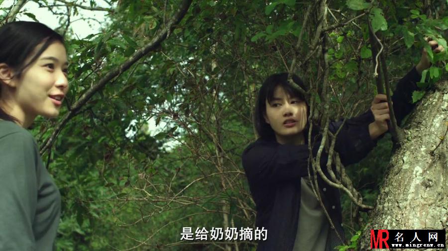 小森林 夏秋篇吉子剧照(1)
