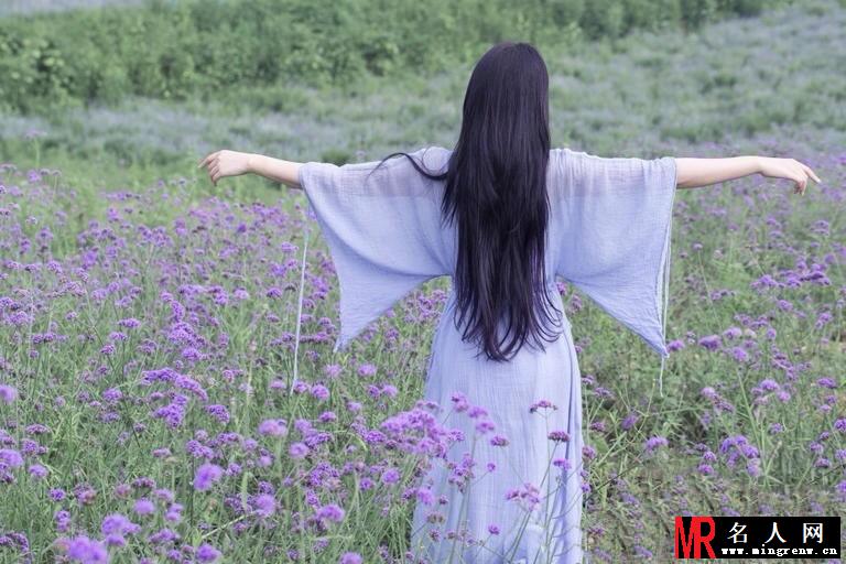 张馨予薰衣草田写真 清新高雅似花仙子(1)