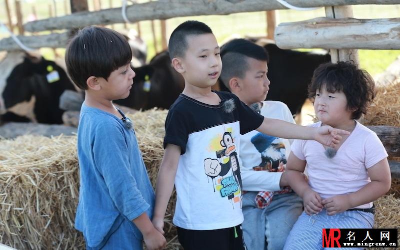 杉菜夏天去哪了？爸爸3萌娃F4酷炫图(1)