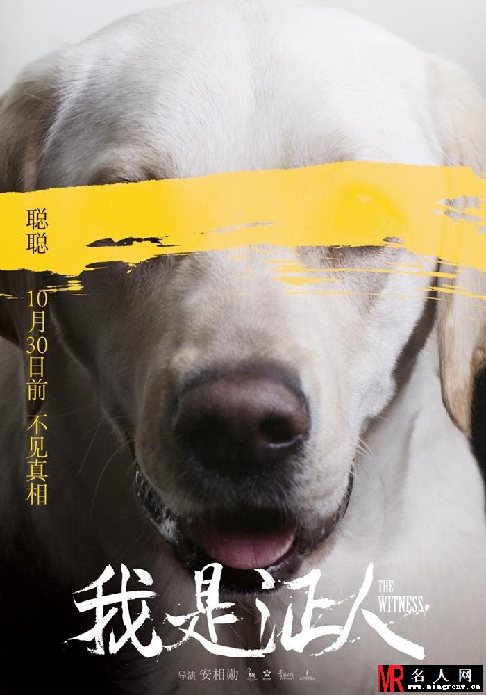 《我是证人》不见真相版海报 杨幂鹿晗针锋相对(1)