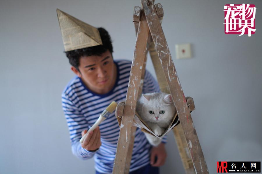 郭家铭携萌猫拍时尚大片 俏皮与萌猫惬意互动(1)