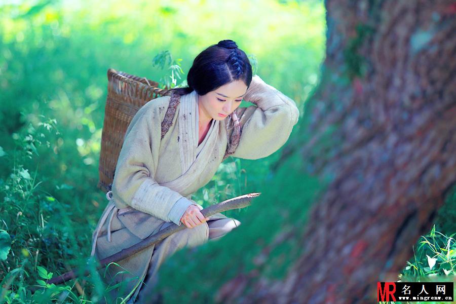 大汉情缘之云中歌百合剧照(1)