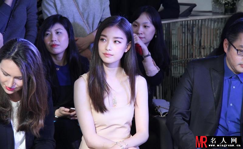 倪妮2015活动大图集第一弹 两抹红唇高雅迷人(1)