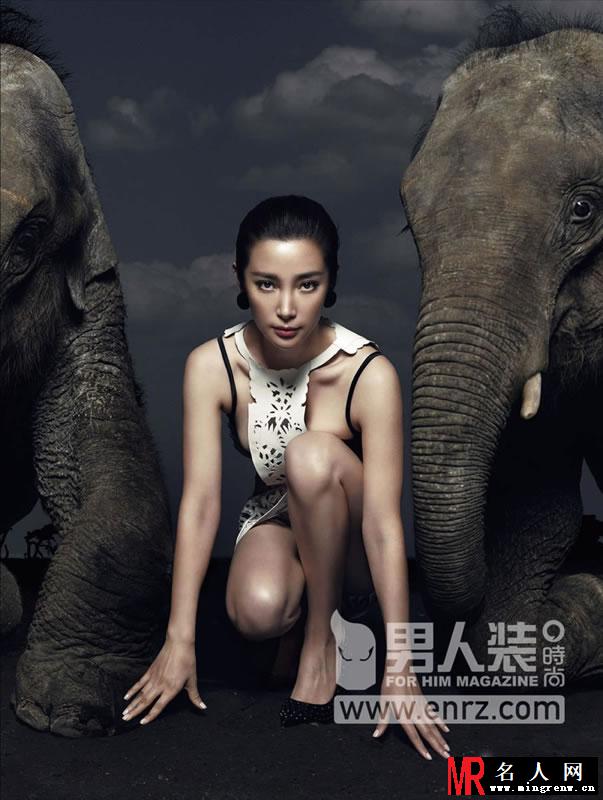 李冰冰《男人装》摩登大片 与大象默契十足(1)