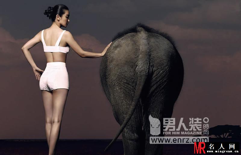 李冰冰《男人装》摩登大片 与大象默契十足(1)