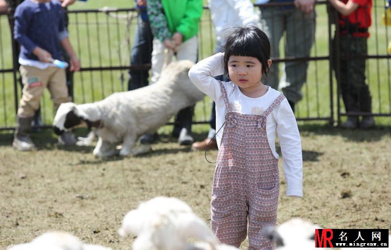 爸爸2多多贝儿席地而坐 获封草原小姐妹(1)