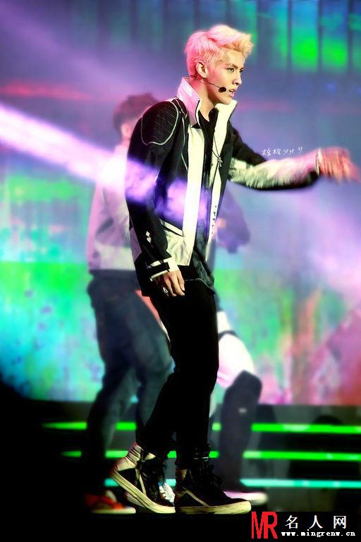 2013年Super Concert吴亦凡图片 颜值逆天粉丝尖叫(1)