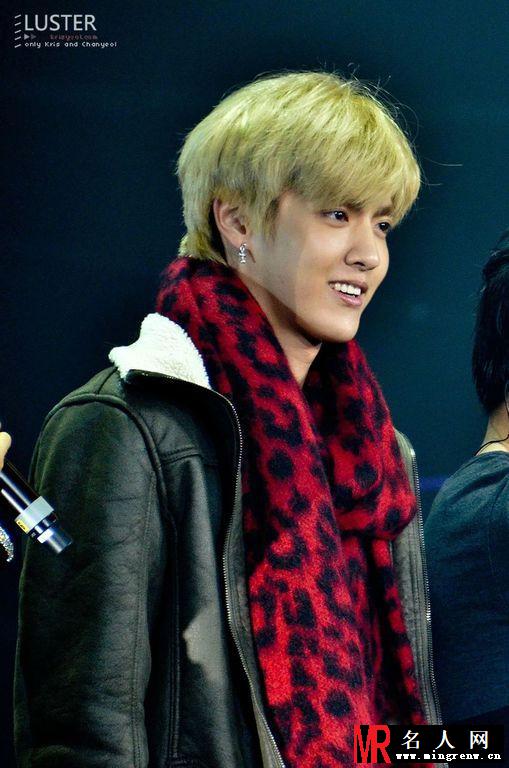 2013年supershow5 in London伦敦演唱会吴亦凡帅气现身卖力演唱(1)