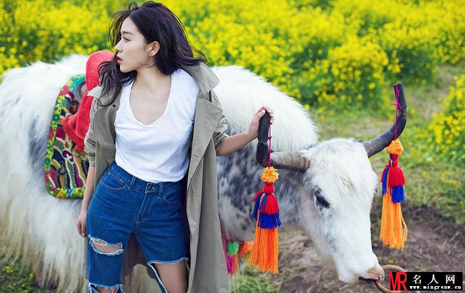 阚清子高原花海写真 色调清新缤纷如画(1)