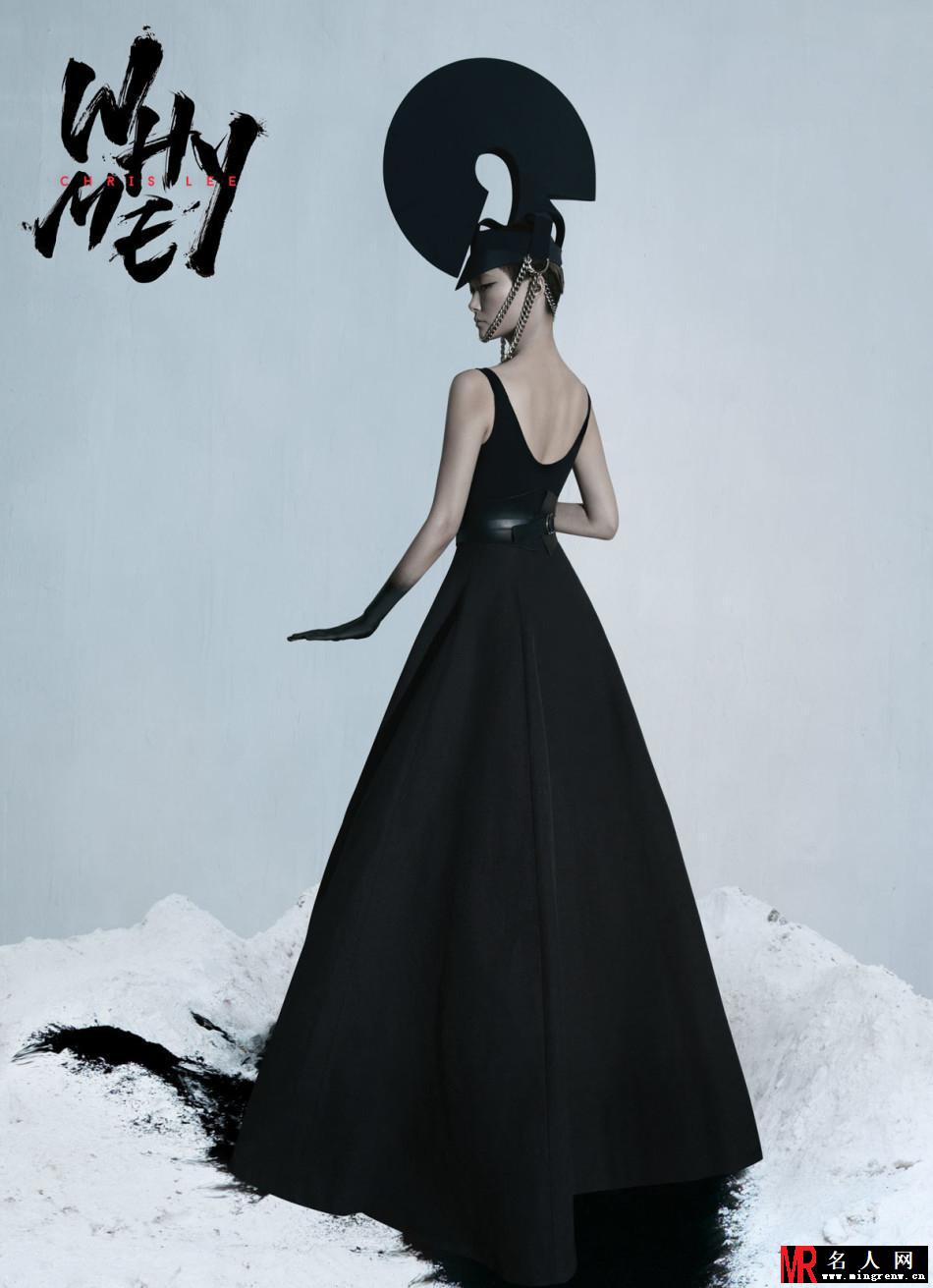 李宇春WhyMe演唱会冰雪世界版海报曝光(1)