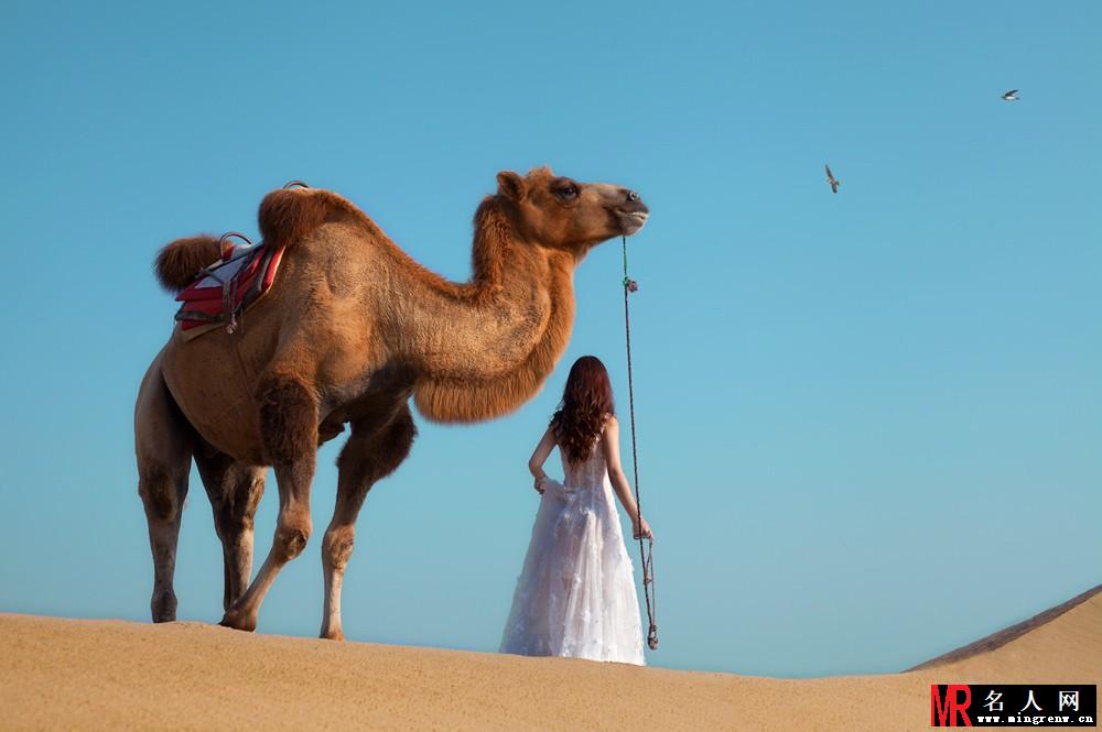 柳岩户外性感写真 沙漠与骆驼(1)