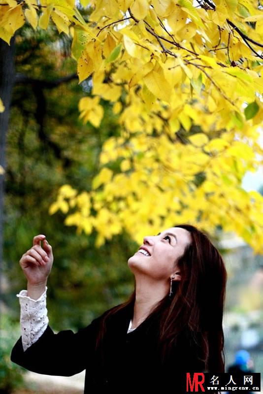 赵薇独家写真 叹赵薇的美丽与哀愁(1)