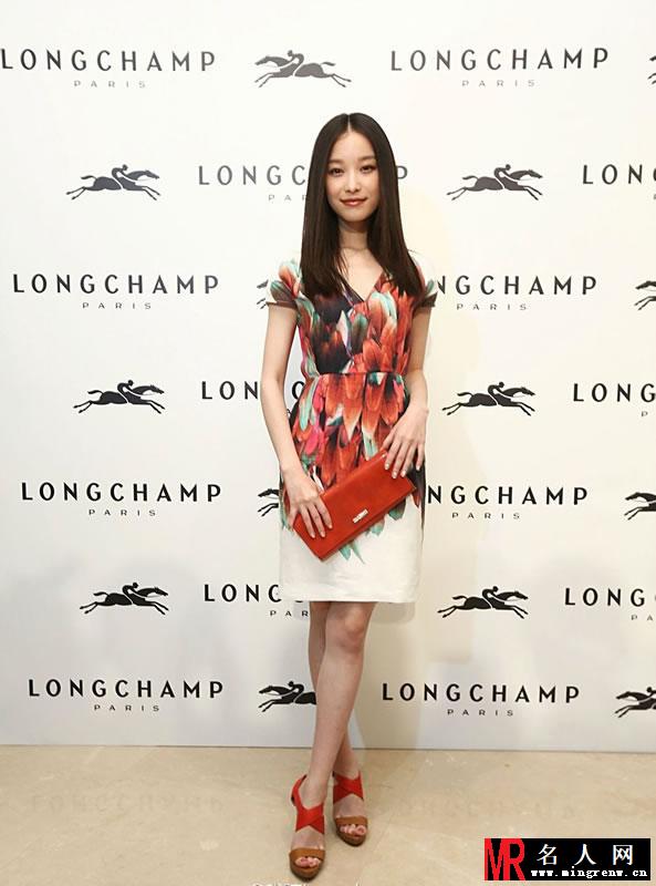 倪妮2014活动大图集第九弹 透明长裙美腿一览无遗(1)
