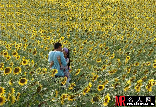 又见一帘幽梦汪紫菱剧照(1)