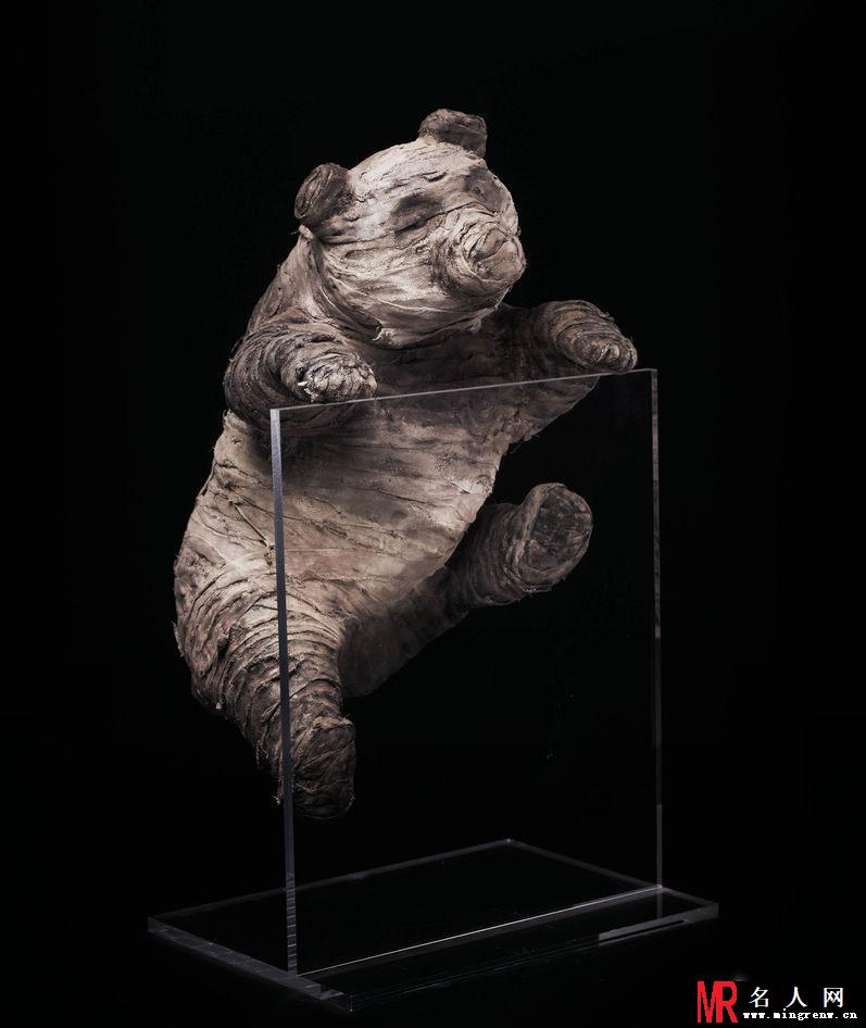 周迅黄晓明携众星拍公益写真 为大熊猫筹款(1)