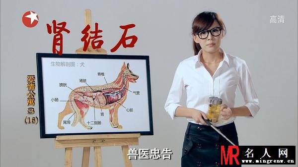 爱情公寓3陈美嘉剧照(1)