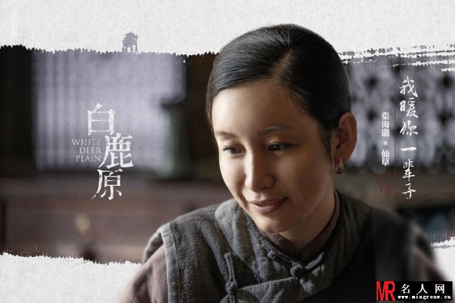 白鹿原电视剧版仙草剧照(1)