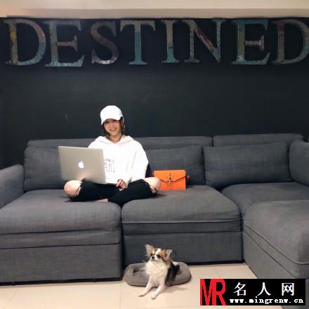 邓紫棋抱猫咪拍照 抿嘴甜笑大眼放电(1)