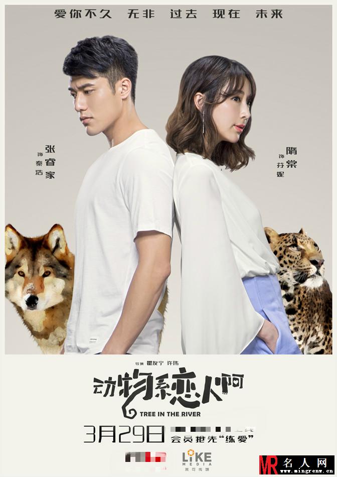 《动物系男友》发布“白色甜蜜版”海报 钟欣潼情定贺军翔(1)