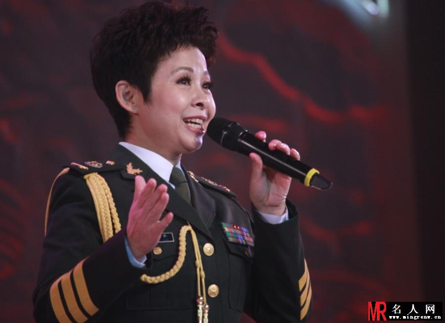 董文华演出现场照片(1)