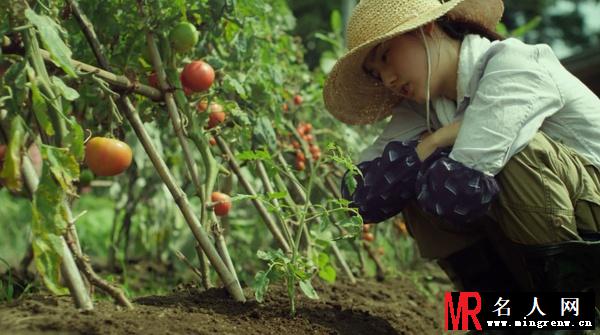 小森林 夏秋篇市子剧照(1)