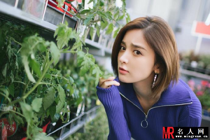 娜扎花房写真曝光 变身阳光女孩灵动又美丽(1)