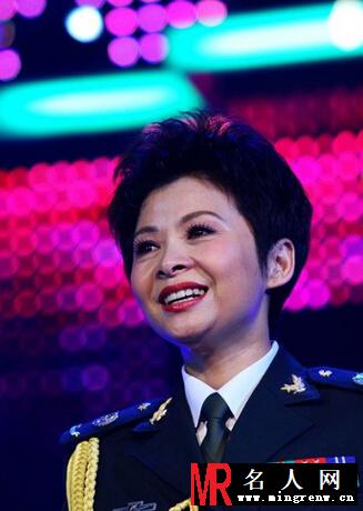 董文华演出现场照片(1)