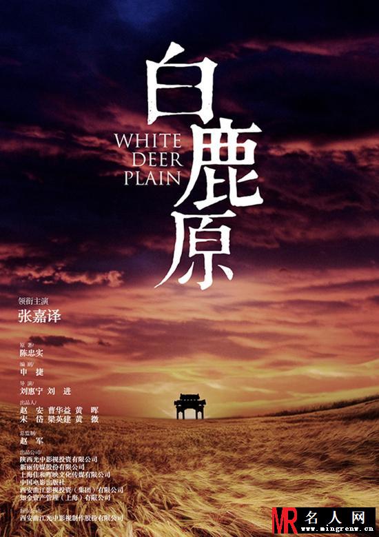 白鹿原电视剧版鹿子霖剧照(1)